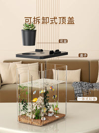 Desktop Acrylic Fish Tank with LED Light and Oxygenation System for Home and Office
