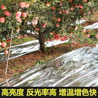 Reflective Agricultural Film for Orchard Fruit Tree Coloring and Warming