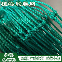 Plant Climbing Net for Vine Plants, Vegetables, and Fruits - Garden Trellis Netting