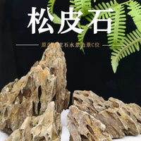 Natural Pine Bark Rock for Aquarium Landscaping and Micro-Landscape Decor