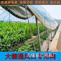 Agricultural Bird Netting for Greenhouses and Orchards