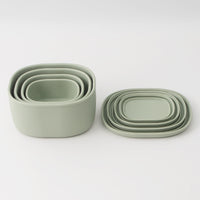 Collapsible Silicone Food Storage Container for Camping and Microwave Use