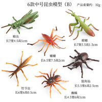 Realistic Insect and Ocean Animal Figures Set for Kids - Medium Size