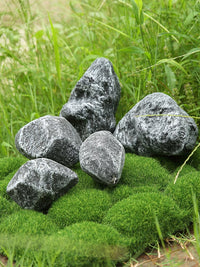 Artificial Moss Rocks and Stones for Micro Landscape and Garden Decor