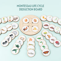 Montessori Wooden Life Cycle Puzzle Educational Toy for Kids