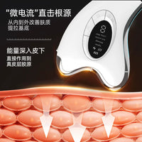 EMS Microcurrent Facial Massager & Neck Scraper with Constant Temperature