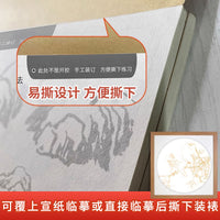 Chinese Painting Line Drawing Copybook for Gongbi Art Practice with Traditional Style Drafts
