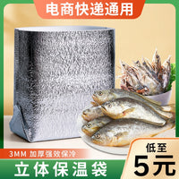 Insulated Reusable Cooler Bag for Food Delivery, Picnics, and Travel