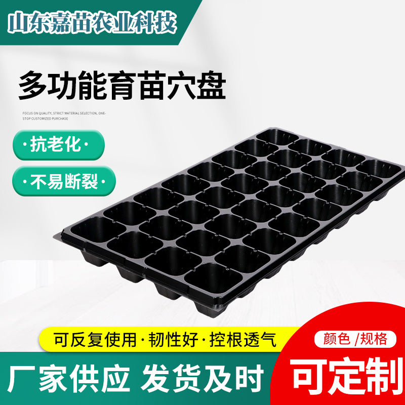 Thickened Seedling Tray with Drainage Holes for Indoor Gardening, Vegetables, Berries, and Succulents
