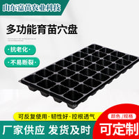 Thickened Seedling Tray with Drainage Holes for Indoor Gardening, Vegetables, Berries, and Succulents