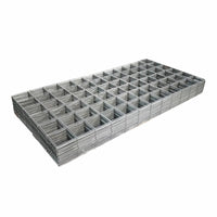 Galvanized Welded Wire Mesh Panel for Fencing and Cages