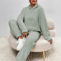 Women's Casual Solid Color Plush Hoodie & Pants Set