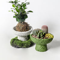 Creative Cement Planter for Succulents and Moss, Indoor/Outdoor Balcony Green Plant Pot