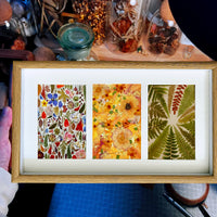 Hollow 3D Shadow Box Frame with Mat Board and Acrylic Front for DIY Crafts and Wall Display