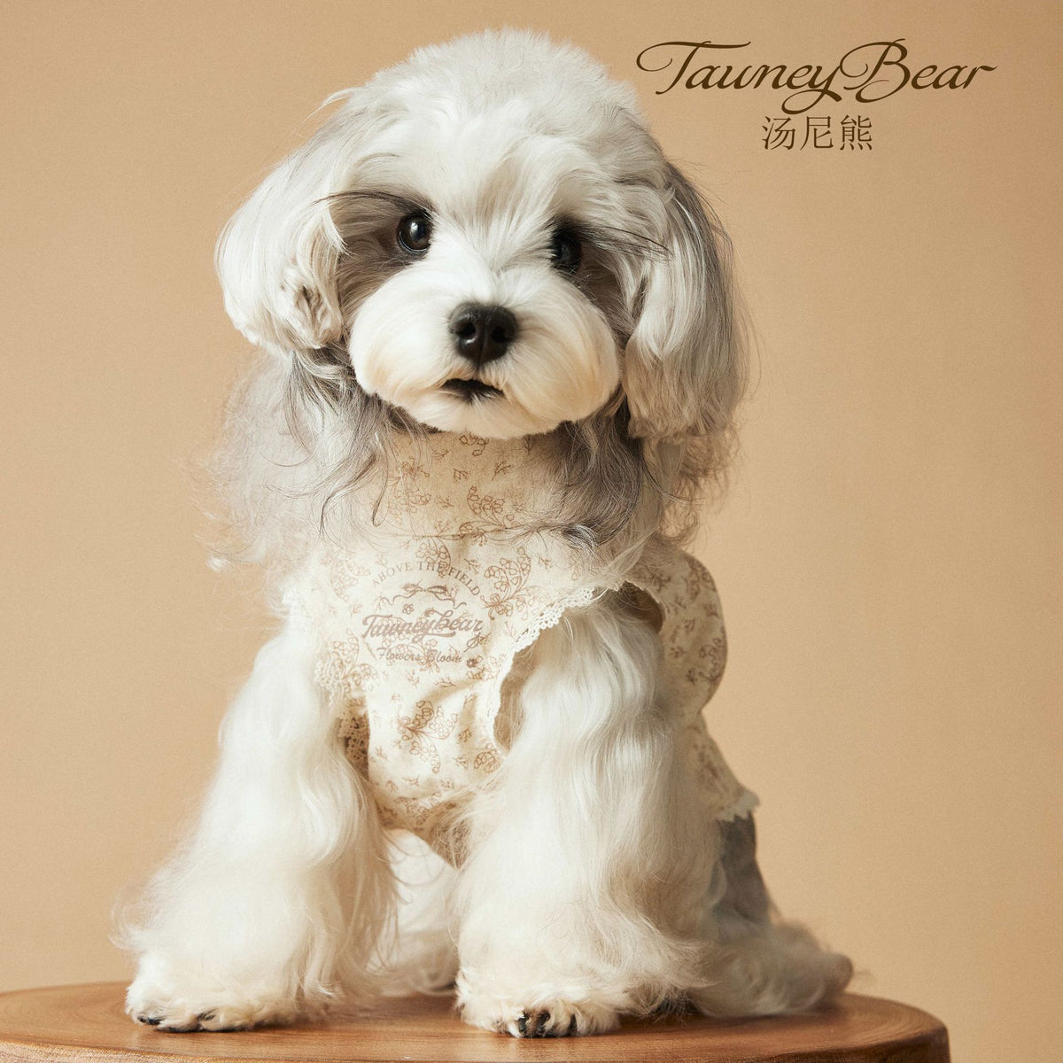 Tony Bear Dog Dress for Small to Medium Breeds - Summer Princess Skirt for Teddy, Schnauzer, Bichon, Yorkshire