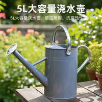 Large Capacity Iron Watering Can for Garden and Home Use