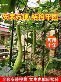 Heavy-Duty Coated Steel Garden Arch Trellis for Climbing Plants, Grapes, and Passion Fruit