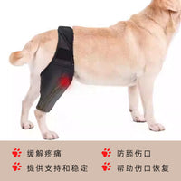 Dog Leg Brace for Injury Recovery and Support