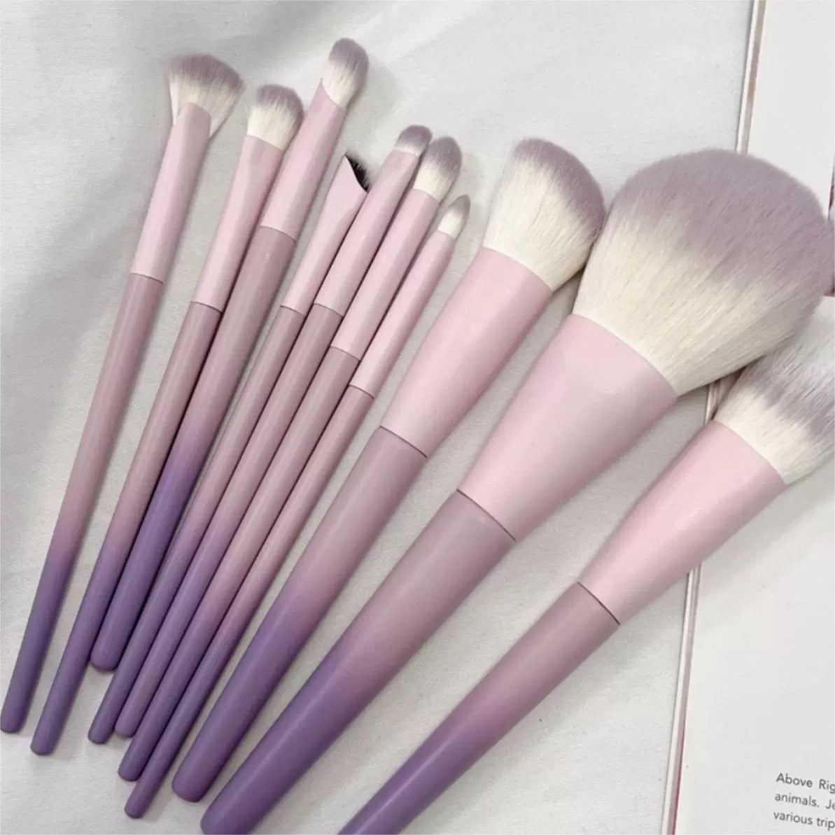 10-Piece Pink-Purple Makeup Brush Set with Storage Bag, Powder and Eyeshadow Brushes
