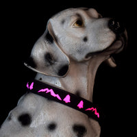 LED Light-Up Pet Collar and Leash Set for Dogs, Rechargeable Glowing Christmas Tree Pattern