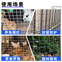 Galvanized Wire Mesh Fence for Poultry, Garden, and Pest Control