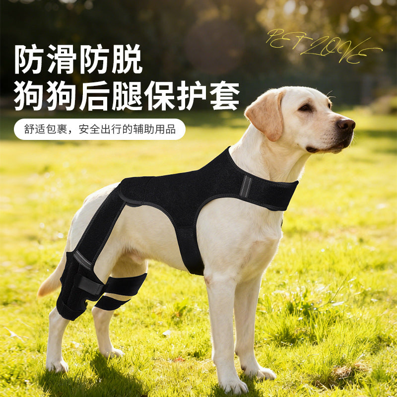 Dog Rear Leg Brace for Injury Support and Joint Protection