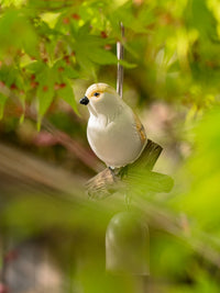 Juhan Outdoor Wind Chimes Bird Bell Hanging Ornament Garden Balcony Courtyard Decoration Healing Decompression Creative Decor