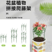 Modular Plant Support Stakes for Potted Plants and Orchids, Expandable Garden Trellis Kit