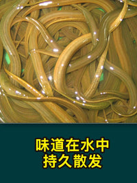 Eel and Loach Attractant Bait for Traps and Fishing