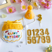 Pet Birthday Bandana and Hat Set for Cats and Dogs