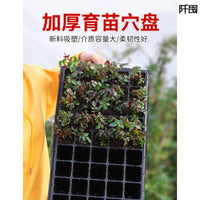 Seedling Starter Trays with Drip Trays for Vegetables and Succulents