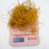 Miniature Simulation Ivy Vine Model for Dioramas and Sand Tables