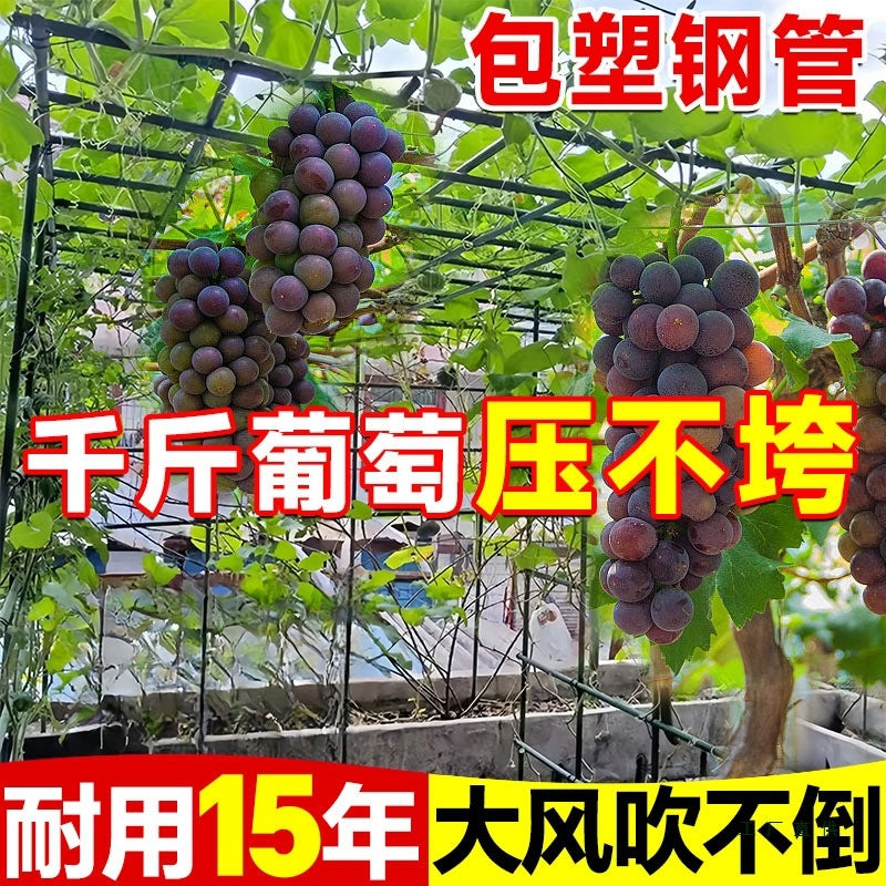 Stainless Steel Garden Trellis for Climbing Plants, Grape Vines, Cucumbers, Passion Fruit, Loofah