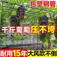 Stainless Steel Garden Trellis for Climbing Plants, Grape Vines, Cucumbers, Passion Fruit, Loofah