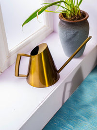 Stainless Steel Long Spout Watering Can for Indoor Plants & Succulents, Nordic Style Metal Small Sprinkler