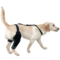 Pet Dog Rear Leg Brace with Collar for Joint Support and Injury Recovery