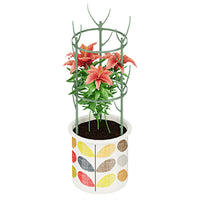 Modular Plant Support Stakes for Potted Plants and Orchids, Expandable Garden Trellis Kit