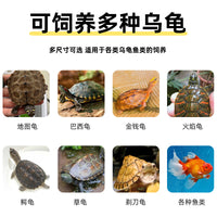 Round Transparent Mini Fish Tank for Desktop, Small Goldfish and Turtle Aquarium