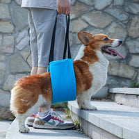 Dog Rear Leg Support Harness for Injured or Elderly Pets