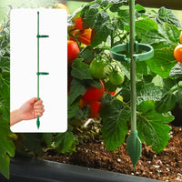 Tomato Plant Support Stakes with Clips and Ground Plugs for Climbing Vegetables and Flowers