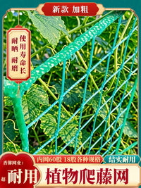 Garden Trellis Netting for Climbing Plants, Grapes, Passion Fruit - Durable, Sun-Resistant, Anti-Collapse Support Net for Agricultural Vegetables