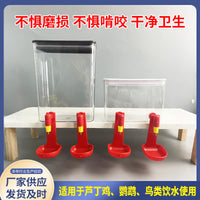 Automatic Poultry Nipple Drinker for Chickens, Parrots, and Quail, Large Capacity Water Feeder