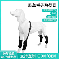 Pet Dog Knee Brace Leg Support for Injury Recovery and Joint Protection