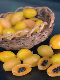 Miniature Papaya Simulation Fruit Model for Dollhouse and OB11 Dolls