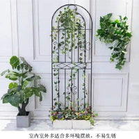 Outdoor Garden Arch Trellis for Climbing Plants, Roses, and Vines - Metal Arched Plant Support