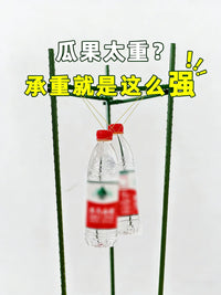 Tomato Cage Plant Support Stakes for Climbing Vegetables and Potted Plants
