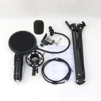 BM800 Condenser Microphone Kit for Computer and Phone Live Streaming, Karaoke, and Recording