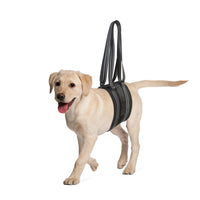 Breathable Mesh Pet Dog Walking Aid Harness for Injured Elderly Dogs Rehabilitation Support