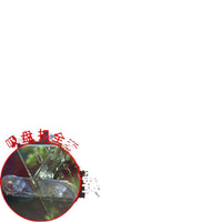 Acrylic Aquarium Divider with Suction Cups, Transparent Isolation Grid for Fish Tanks