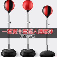 Freestanding Punching Bag with Speed Ball for Adults and Kids, Inflatable Boxing Training Equipment